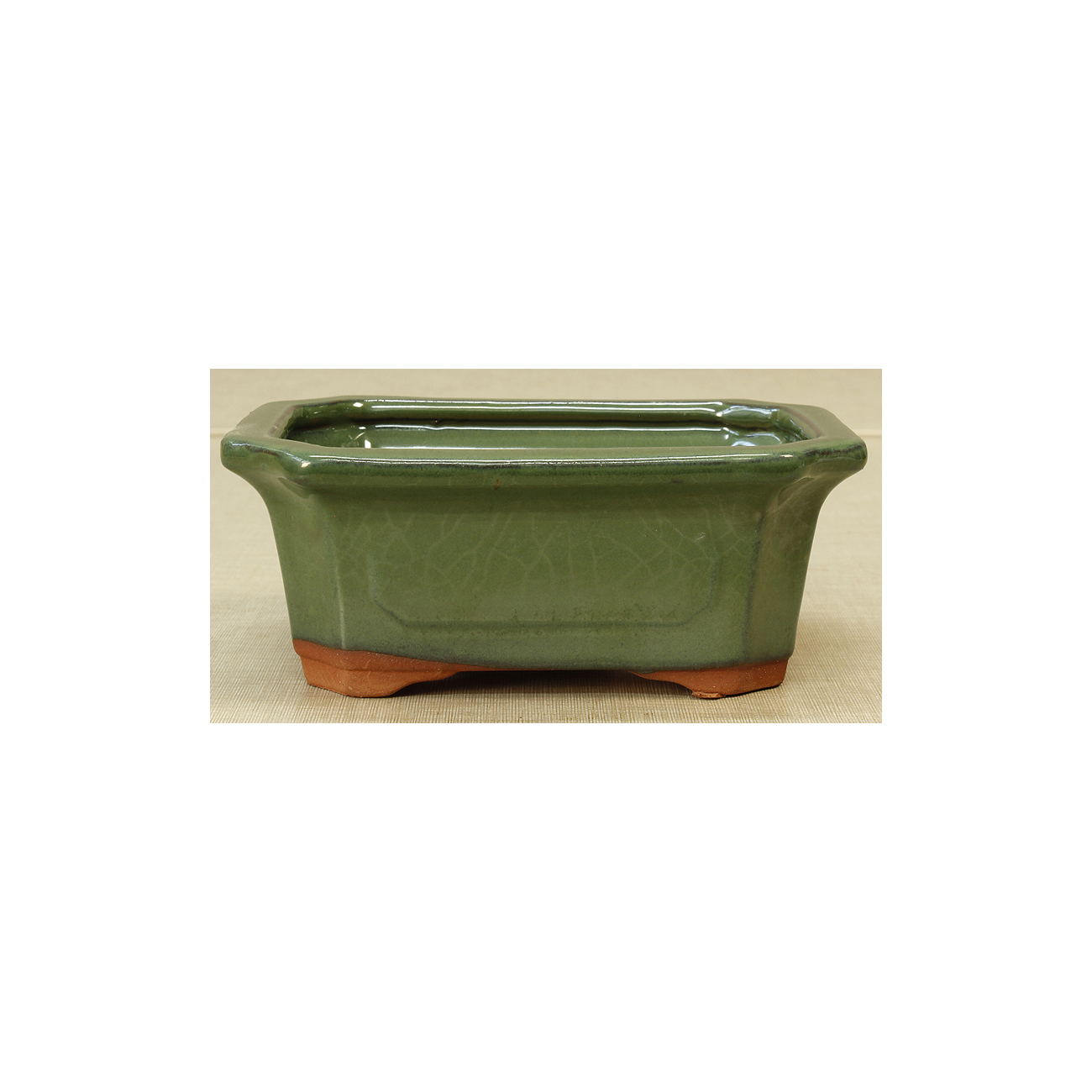 Bonsai pot GAS061-13V