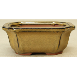 Bonsai pot GAS061-14K