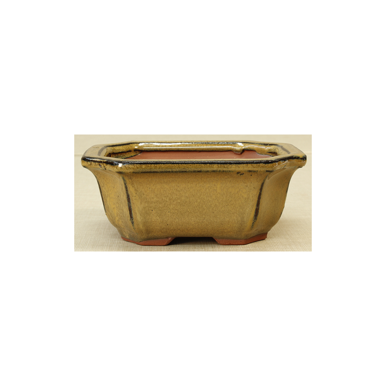 Bonsai pot GAS061-14K