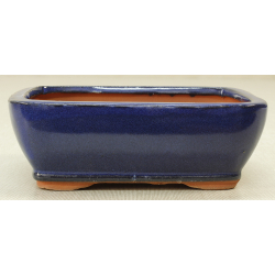 Bonsai pot GAS061-15