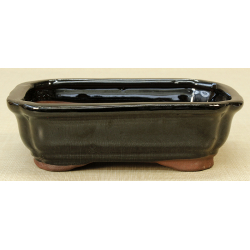 Bonsai pot GAS061-3N