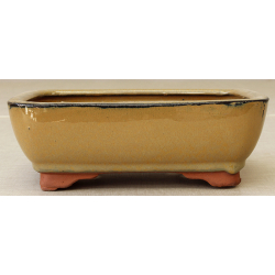 Bonsai pot GAS081-8K