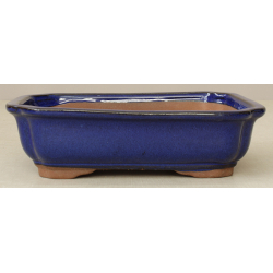 Bonsai pot GAS101-9