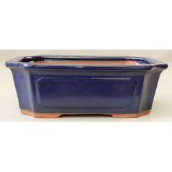 Bonsai pot GAS121-53A