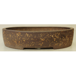 Bonsai pot JTA151B KOSEN