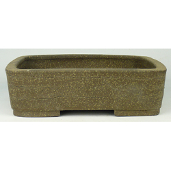 Bonsai pot JTA2066 HATTORI