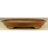Bonsai pot JTA2204 TAZAN