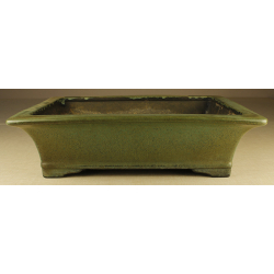 Bonsai pot JTA2244 KOYO KOUICHIROU