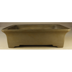 Bonsai pot JTA2248 SEIZAN MAKOTO