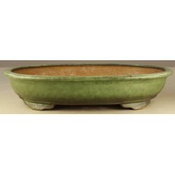 Bonsai pot JTA2312 YOSHIMURA SHUUHOU