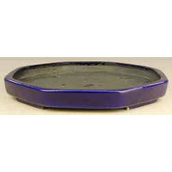 Bonsai pot JTA2323 KOYO KOUICHIROU