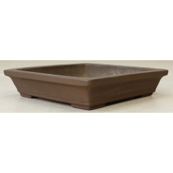 Bonsai pot JTA2338 YAMAAKI TOSHIO