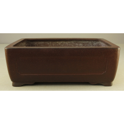 Bonsai pot JTA2404 YAMAAKI TOSHIO