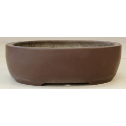 Bonsai pot JTA2416 YAMAAKI TOSHIO