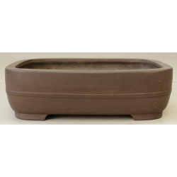 Bonsai pot JTA2417 YAMAAKI TOSHIO