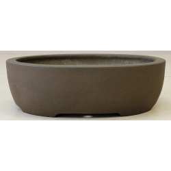 Bonsai pot JTA2421 YAMAAKI TOSHIO