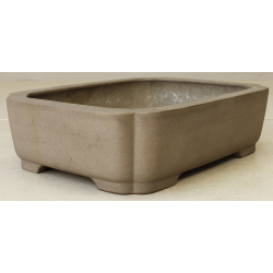 Bonsai pot JTA2422 KEIZAN View 2