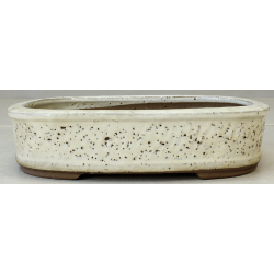 Bonsai pot JTA2428 YOSHIMURA SHUUHOU