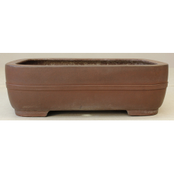 Bonsai pot JTA2460 YAMAAKI TOSHIO