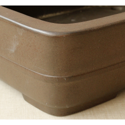 Bonsai pot JTA2475 EIRAKU View 2