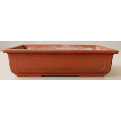 Bonsai pot JTA2552 SHIGHEARU