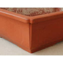 Bonsai pot JTA2552 SHIGHEARU View 2