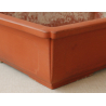 Bonsai pot JTA2552 SHIGHEARU View 2