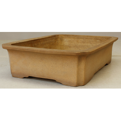 Bonsai pot JTA2615 TERAHATA MAZAN View 2