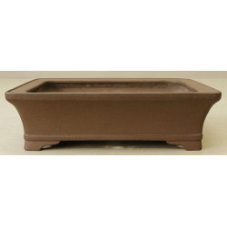 Bonsai pot JTA2625 KISEN