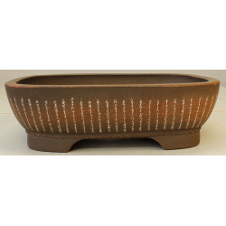 Bonsai pot JTA2660 IZUMI-YA ZENIGO