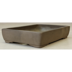 Bonsai pot JTA2688 SEIBUN View 2