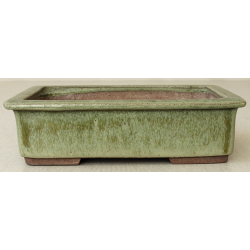 Bonsai pot JTA3118 YOUZAN MASAKAZU