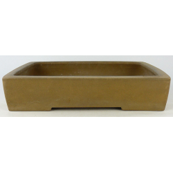 Bonsai pot JTA3142 SUISHOEN HEKISUI