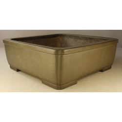 Bonsai pot JTA3175 KAKUZAN KAKUYUKI