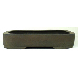 Maceta bonsái JTA331 SHIBATA KEIZAN