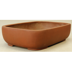 Bonsai pot JTA445 View 2