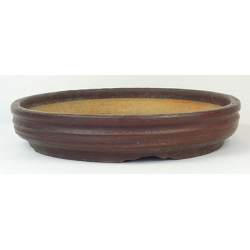 Bonsai pot JTA482