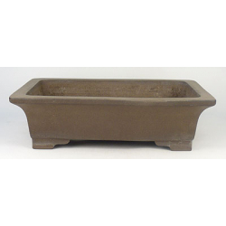 Bonsai pot JTA540 GYOZAN YUKIZOU