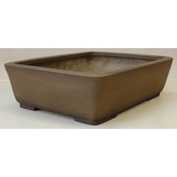 Bonsai pot JTA567 TERAHATA MAZAN View 2