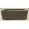 Maceta bonsái JTA6052 YAMAAKI TOSHIO