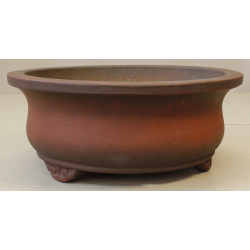 Bonsai pot JTA6091 IZUMI-YA ZENIGO