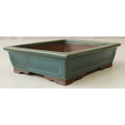 Bonsai pot JTA6108 YAMAAKI TOSHIO View 2