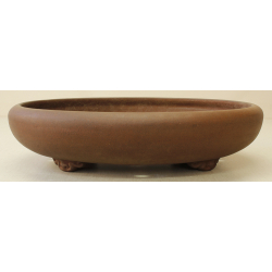 Bonsai pot JTA6193 TAZAN