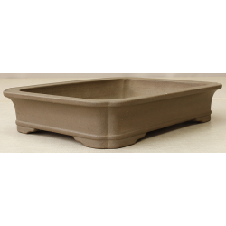 Bonsai pot JTA6202 KEIZAN View 2