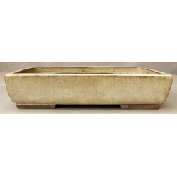 Bonsai pot JTA6203B EJIRI TAIZAN