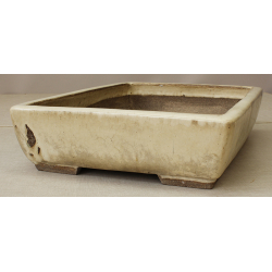 Bonsai pot JTA6203B EJIRI TAIZAN View 2