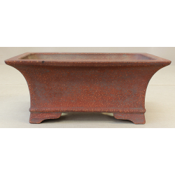 Bonsai pot JTA6219 IZUMI-YA ZENIGO