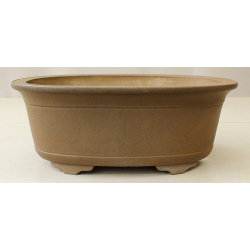 Bonsai pot JTA6234 YAMAAKI SHOUSEN + KOSHOUSEN