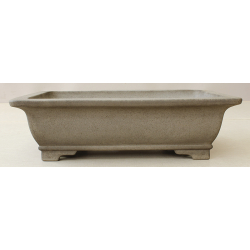 Bonsai pot JTA6307 SEIZAN MAKOTO