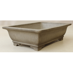 Bonsai pot JTA6307 SEIZAN MAKOTO View 2